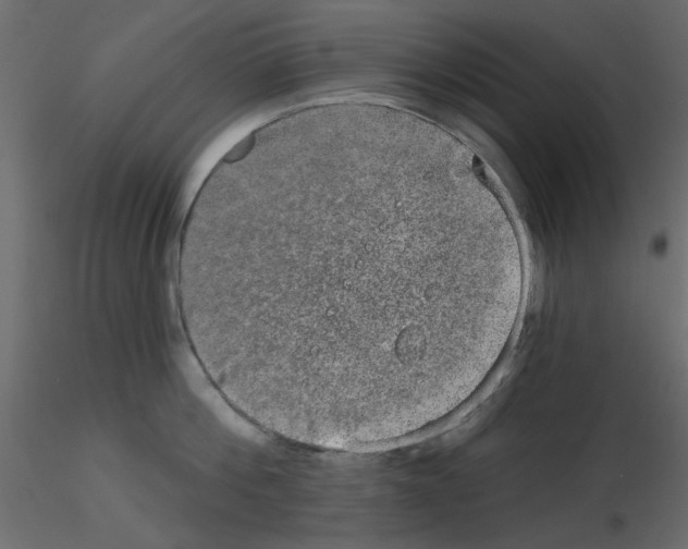 X0000115670812200912241418