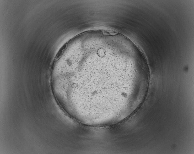 X0000115670813200912241418