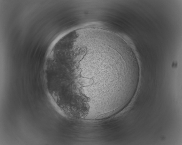 X0000115670816200912241418