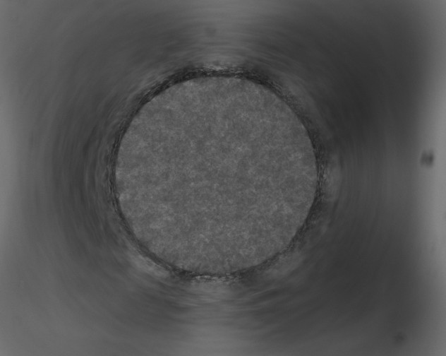 X0000115670817200912241418