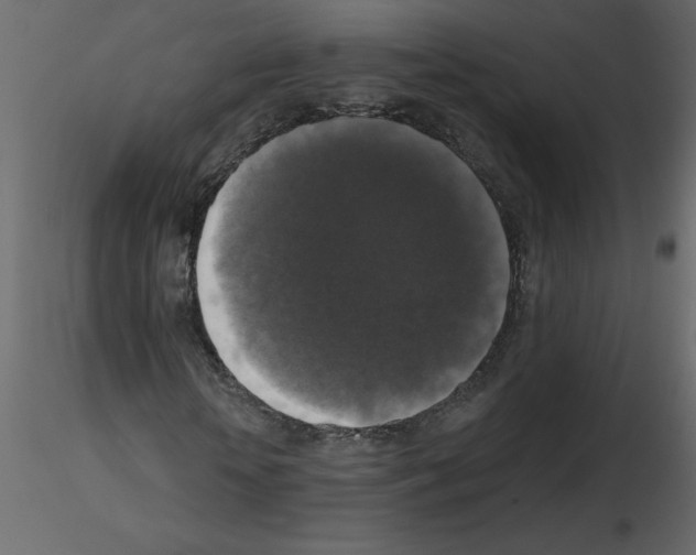 X0000115670818200912241418