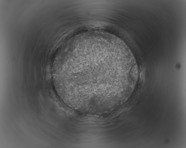 X0000115670819200912241418