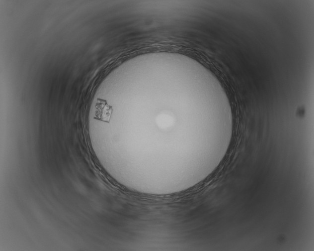 X0000115670820200912241418