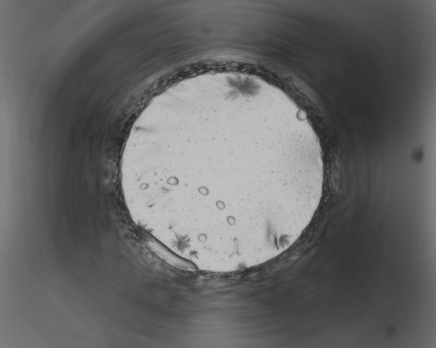 X0000115670821200912241418