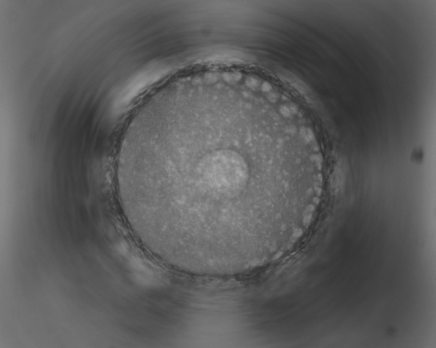 X0000115670824200912241418