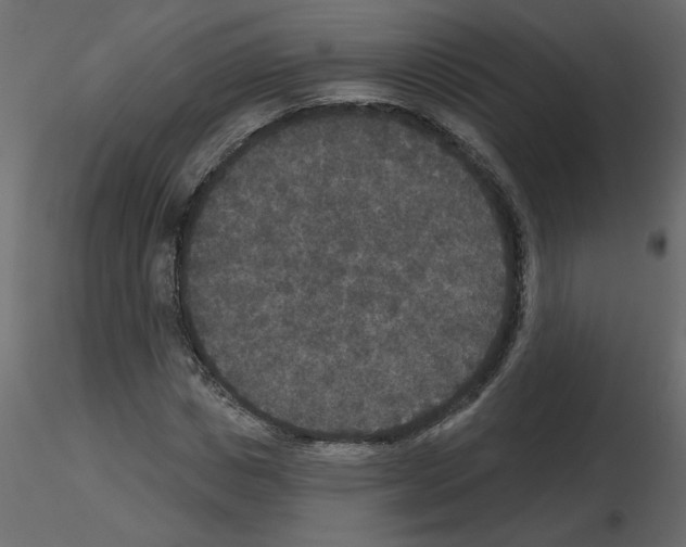 X0000115670825200912241418