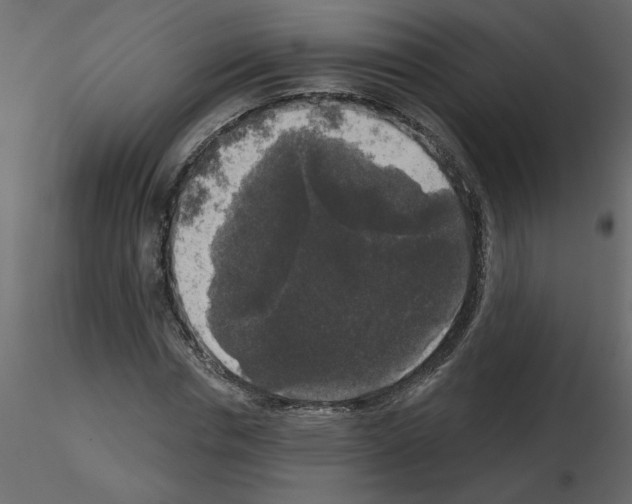 X0000115670826200912241418