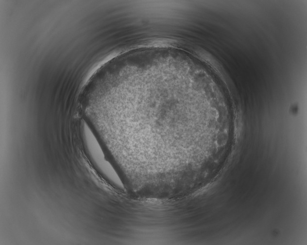 X0000115670827200912241418