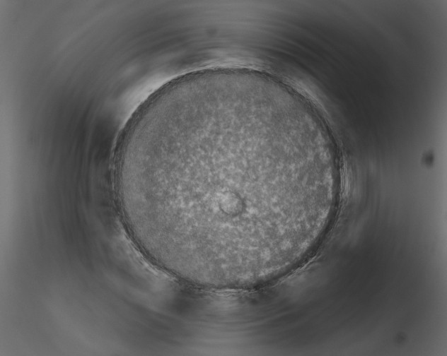 X0000115670828200912241418