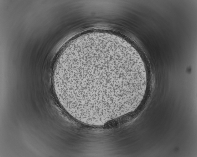 X0000115670829200912241418