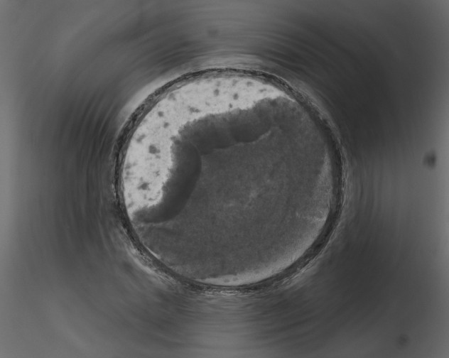 X0000115670830200912241418