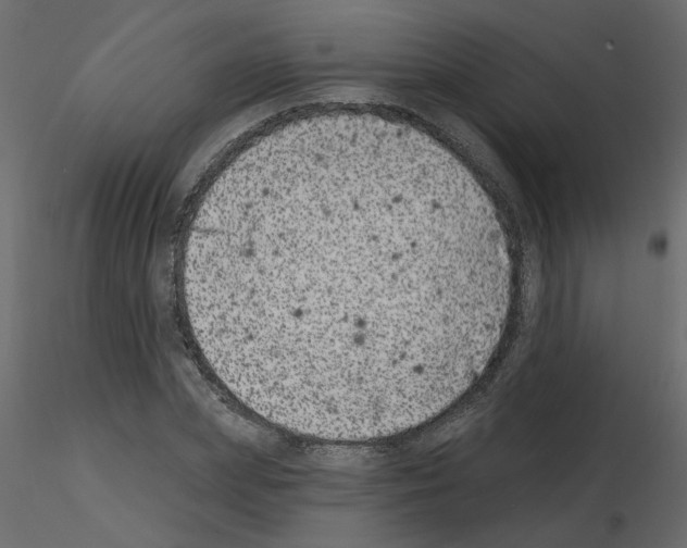 X0000115670831200912241418