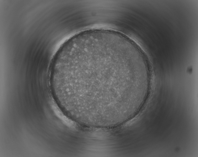 X0000115670832200912241418