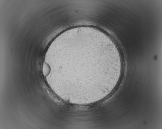 X0000115670833200912241418