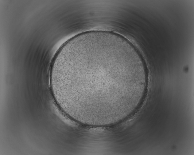 X0000115670838200912241418