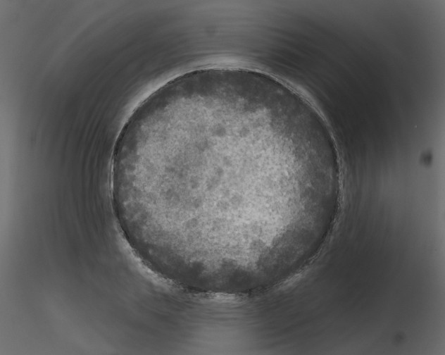 X0000115670839200912241418