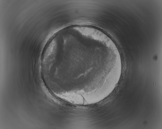 X0000115670840200912241418