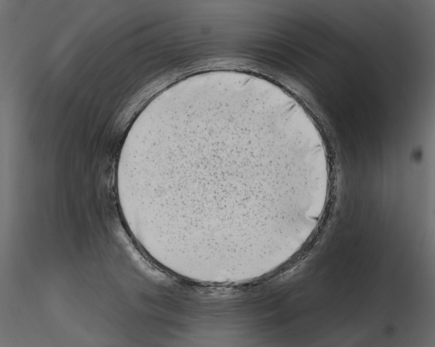 X0000115670841200912241418