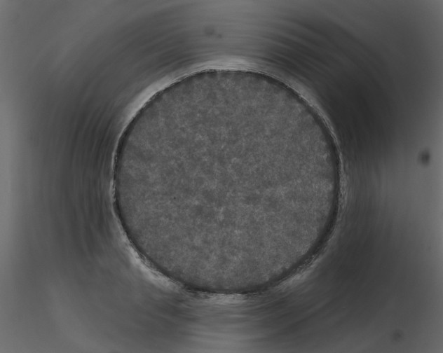 X0000115670845200912241418