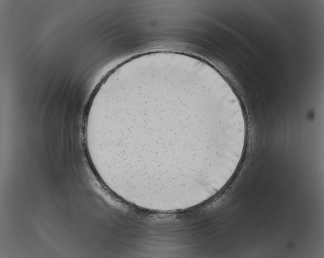 X0000115670846200912241418