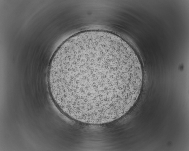 X0000115670847200912241418