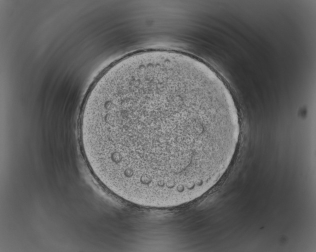 X0000115670848200912241418