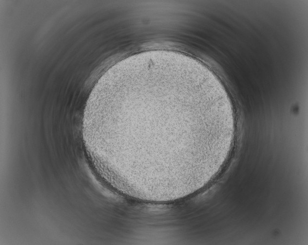 X0000115670849200912241418