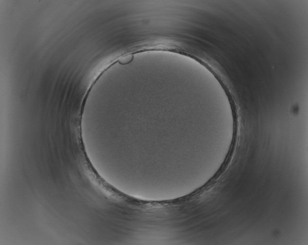 X0000115670850200912241418