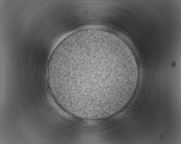 X0000115670852200912241418