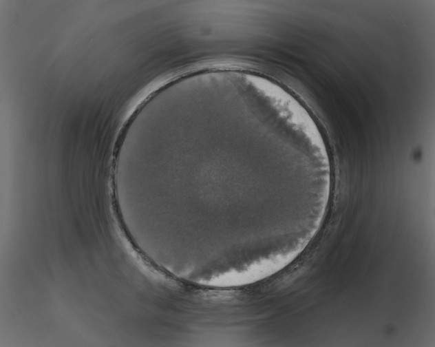 X0000115670853200912241418