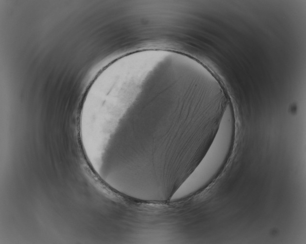 X0000115670854200912241418