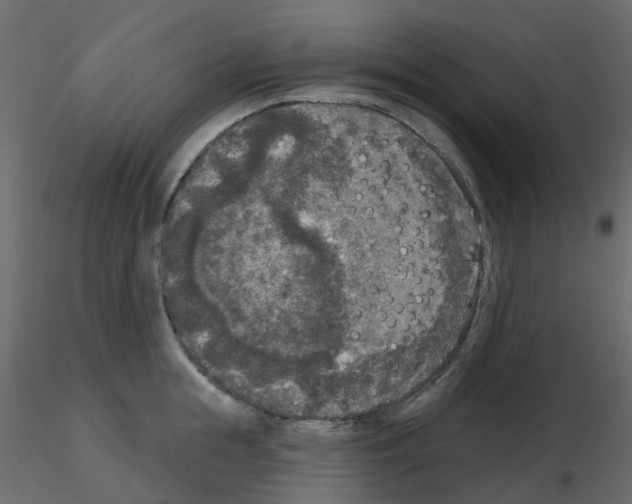 X0000115670855200912241418