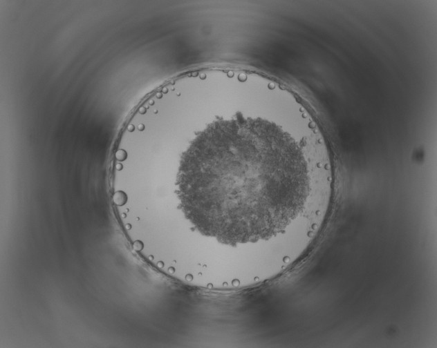 X0000115670856200912241418