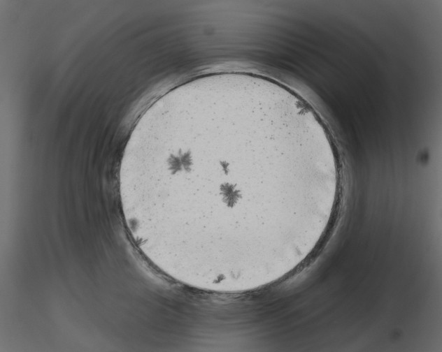 X0000115670857200912241418