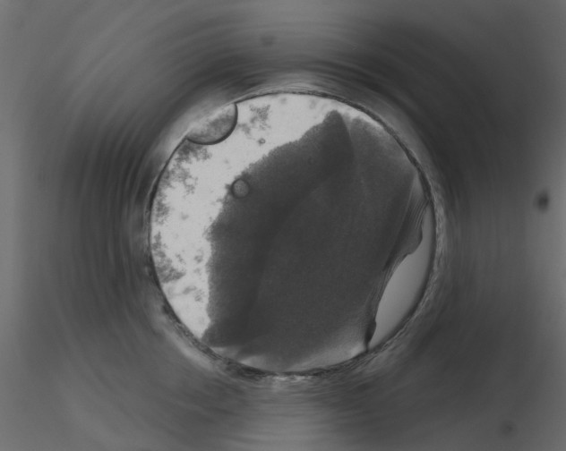 X0000115670858200912241418