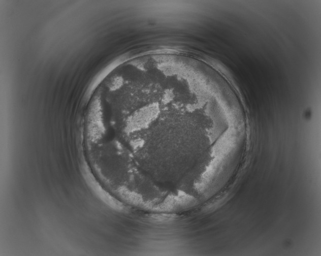 X0000115670859200912241418