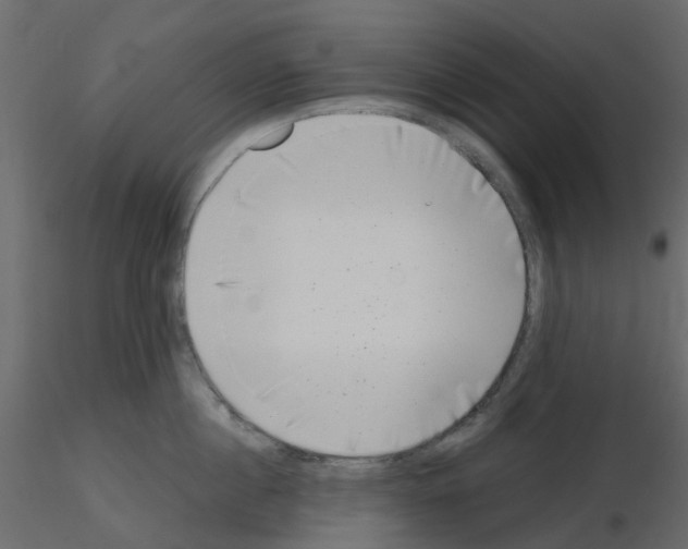 X0000115670860200912241418