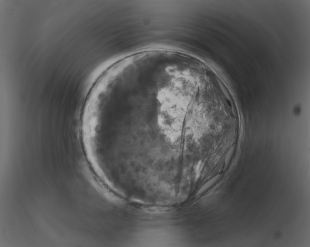 X0000115670862200912241418