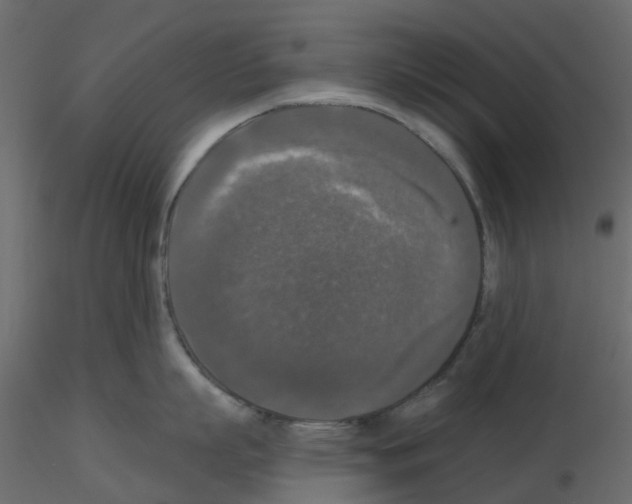 X0000115670863200912241418