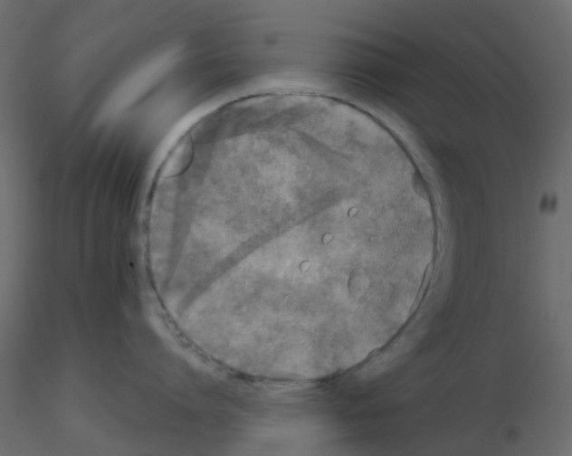 X0000115670864200912241418