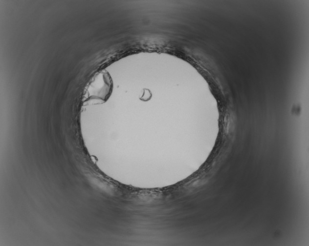 X0000115670865200912241418