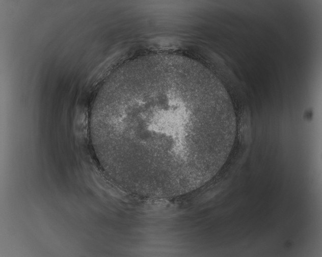 X0000115670866200912241418