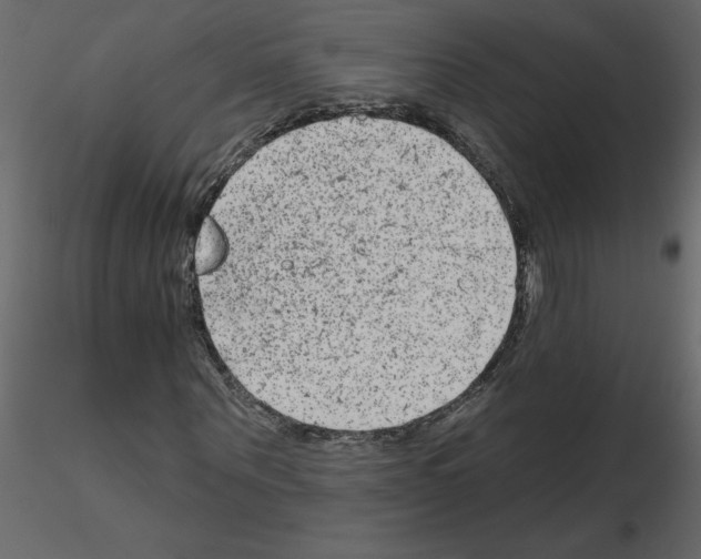 X0000115670867200912241418