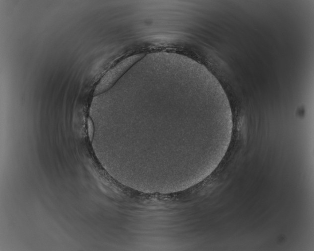 X0000115670868200912241417