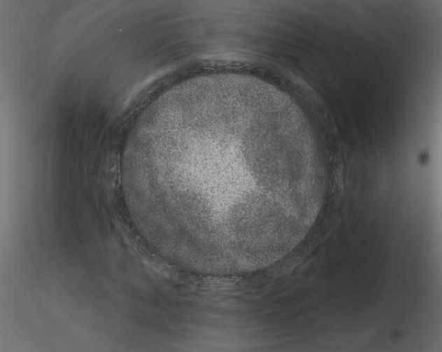 X0000115670870200912241417