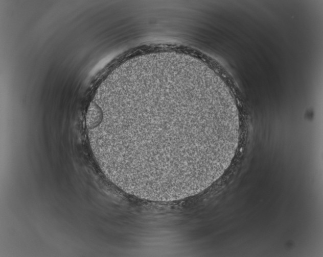 X0000115670871200912241417