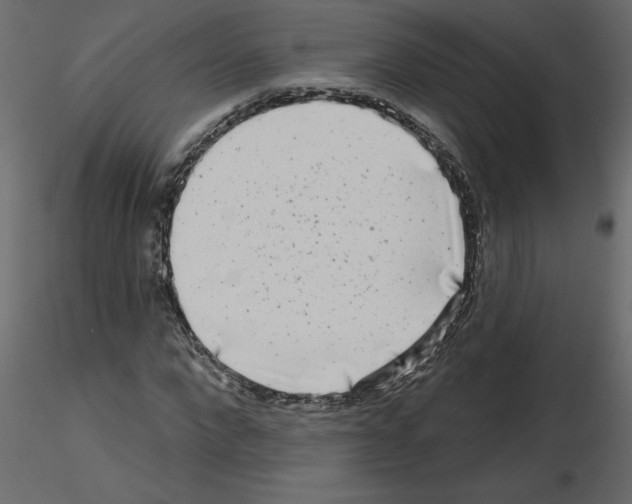 X0000115670872200912241417