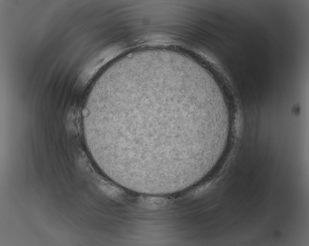 X0000115670873200912241417