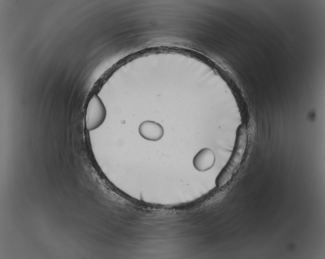 X0000115670877200912241417