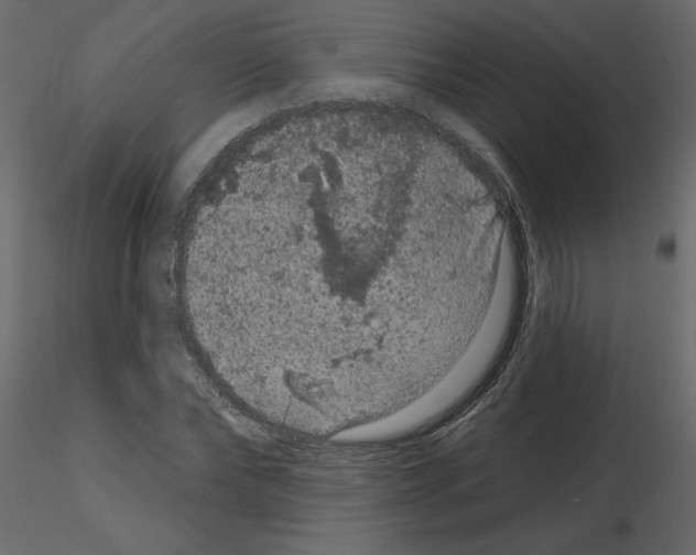 X0000115670878200912241417